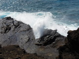 DSCN4568.JPG