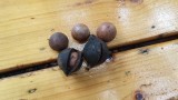20140720_114521.jpg