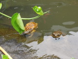 DSCN4739.JPG