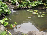 DSCN4740.JPG