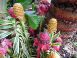 DSCN4745.JPG