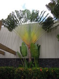 DSCN4767.JPG