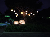 DSCN4988.JPG