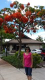 20140723_125603.jpg