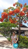 20140723_125903.jpg