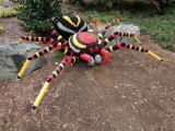 DSCN5493.JPG