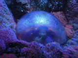 DSCN5529.JPG