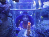 DSCN5544.JPG