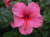 DSCN5592.JPG