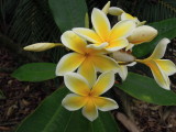 DSCN5597.JPG