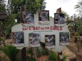 DSCN5602.JPG