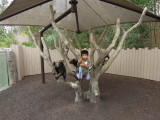 DSCN5607.JPG