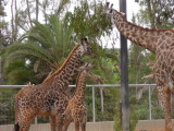 DSCN5617.JPG
