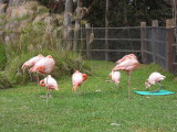 DSCN5623.JPG