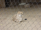 DSCN5630.JPG