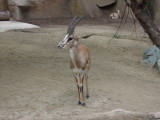 DSCN5682.JPG