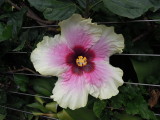 DSCN5710.JPG