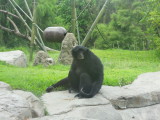 DSCN5716.JPG