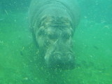 DSCN5738.JPG