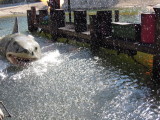 DSCN5467.JPG