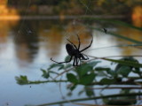 DSCN5910.JPG