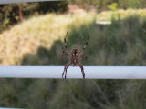 DSCN6032.JPG