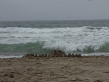 DSCN4244.JPG