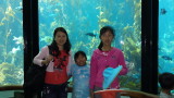 20140729_153744.jpg