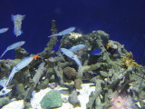 DSCN5280.JPG