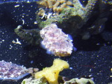 DSCN5293.JPG