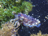DSCN5296.JPG