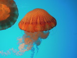 DSCN5303.JPG