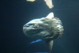 IMG_0749.JPG
