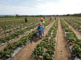 DSCN5102.JPG