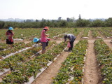 DSCN5103.JPG