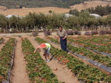 DSCN5111.JPG