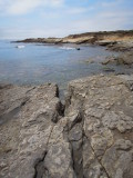DSCN5189.JPG