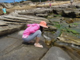DSCN5203.JPG