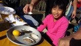 20141026_110157.jpg