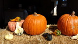 20141026_133934.jpg