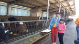 20141026_140403.jpg