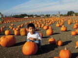 DSCN6527.JPG
