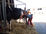 DSCN6880.JPG