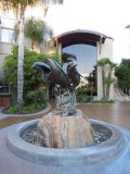 DSCN7372.JPG