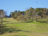 DSCN7408.JPG