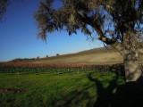 DSCN7409.JPG