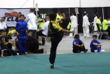 IMG_0842c.jpg