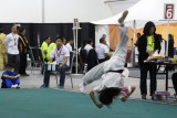 IMG_0897c.jpg