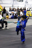 IMG_1130cp.jpg