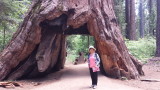 20150616_135146.jpg